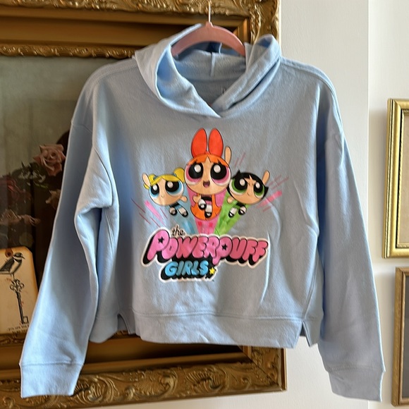 Cartoon Network Other - POWDER PUFF Sweatshirt Hoodie